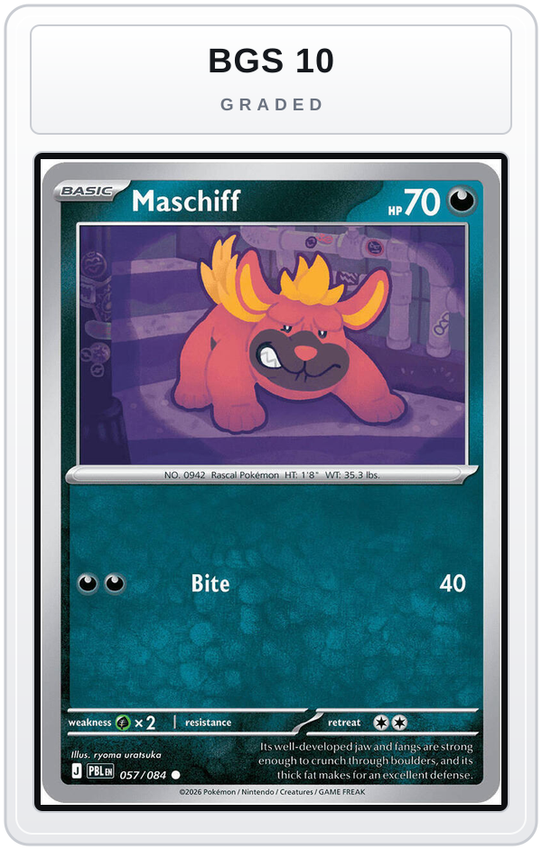 Graded - Maschiff — BGS 10 graded overlay