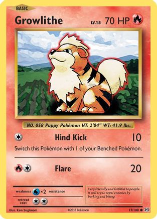 Growlithe (17/108) [XY: Evolutions]