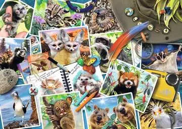 Ravensburger: A Traveler's Animal Journal 1000pc