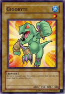 Gigobyte [DR2-EN169] Common