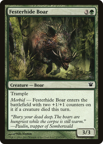 Festerhide Boar [Innistrad]
