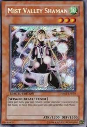 Mist Valley Shaman [HA01-EN005] Secret Rare