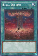 Final Destiny (25th Anniversary) [SRL-EN035] Common