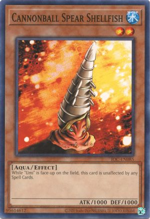 Cannonball Spear Shellfish (25th Anniversary) [IOC-EN085] Common