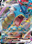 Gyarados VMAX - 021/067 (021/067) [S7R: Blue Sky Stream]
