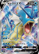 Gyarados V - 070/067 (070/067) [S7R: Blue Sky Stream]