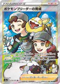 Pokemon Breeder's Nurturing - 078/070 (078/070) [S2a: Explosive Walker]