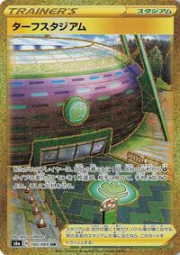 Turffield Stadium (100/069) [S6a: Eevee Heroes]