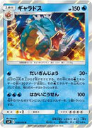 Gyarados (028/095) [SM9: Tag Bolt]