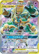 Trevenant & Dusknoir GX - 178/173 (178/173) [SM12a: TAG TEAM GX: Tag All Stars]