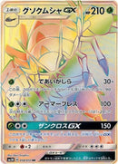 Golisopod GX - 058/051 (058/051) [SM3N: Darkness that Consumes Light]