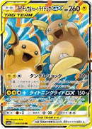 Raichu & Alolan Raichu GX - 008/054 (008/054) [SM10a: GG End]