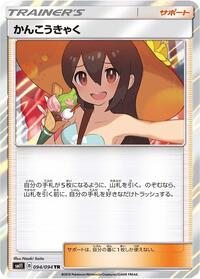 Sightseer (094/094) [SM11: Miracle Twin]