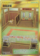 Martial Arts Dojo (079/064) [SM11a: Remix Bout]