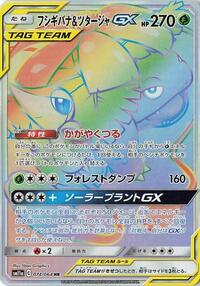 Venusaur & Snivy GX - 074/064 (074/064) [SM11a: Remix Bout]