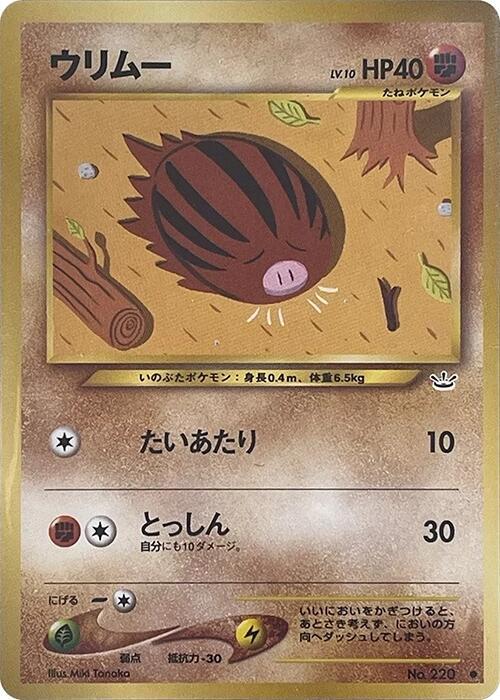 Swinub [Awakening Legends]