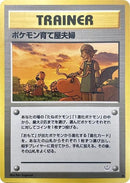 Pokemon Breeder Fields [Awakening Legends]