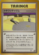 Viridian City Gym [Challenge from the Darkness]