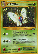 Butterfree [Crossing the Ruins...]