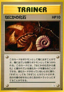 Mysterious Fossil [Mystery of the Fossils]