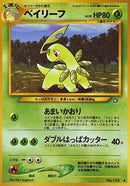 Bayleef [Gold, Silver, to a New World...]