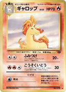 Rapidash [Pokemon Jungle]