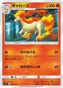 Rapidash (013/127) [sD: V Starter Decks]