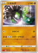 Zygarde (004/021) [sC: Charizard Starter Set VMAX]