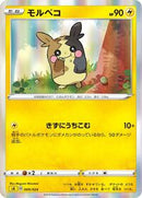 Morpeko (009/024) [sA: Lightning Starter Set V]