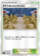 Brock's Pewter City Gym (030/031) [smK: Trainer Battle Decks]