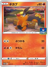 Tepig - 159/S-P (159/S-P) [S-P: Sword & Shield Promos]