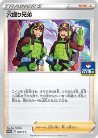 Digging Duo - 300/S-P (300/S-P) [S-P: Sword & Shield Promos]