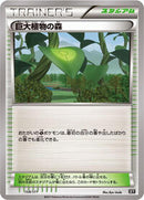 Forest of Giant Plants (154/171) [SM: The Best of XY]