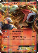 Entei EX - 009/069 (009/069) [BW4: Dark Rush]
