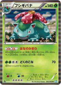 Venusaur (003/069) [BW4: Dark Rush]