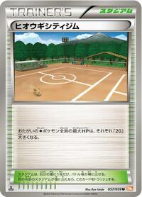 Aspertia City Gym (057/059) [BW6: Cold Flare]