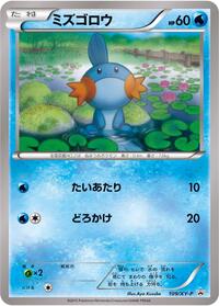 Mudkip - 109/XY-P (109/XY-P) [XY-P: XY Promos]