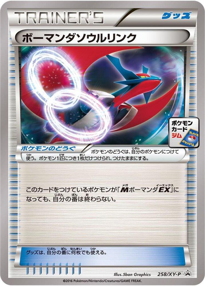 Salamence Spirit Link - 258/XY-P (258/XY-P) [XY-P: XY Promos]