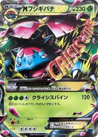 Venusaur (002/060) [XY-Bx: Collection X]