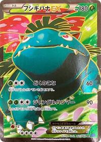 Venusaur EX - 061/060 (061/060) [XY-Bx: Collection X]