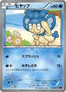 Panpour (019/060) [XY-By: Collection Y]