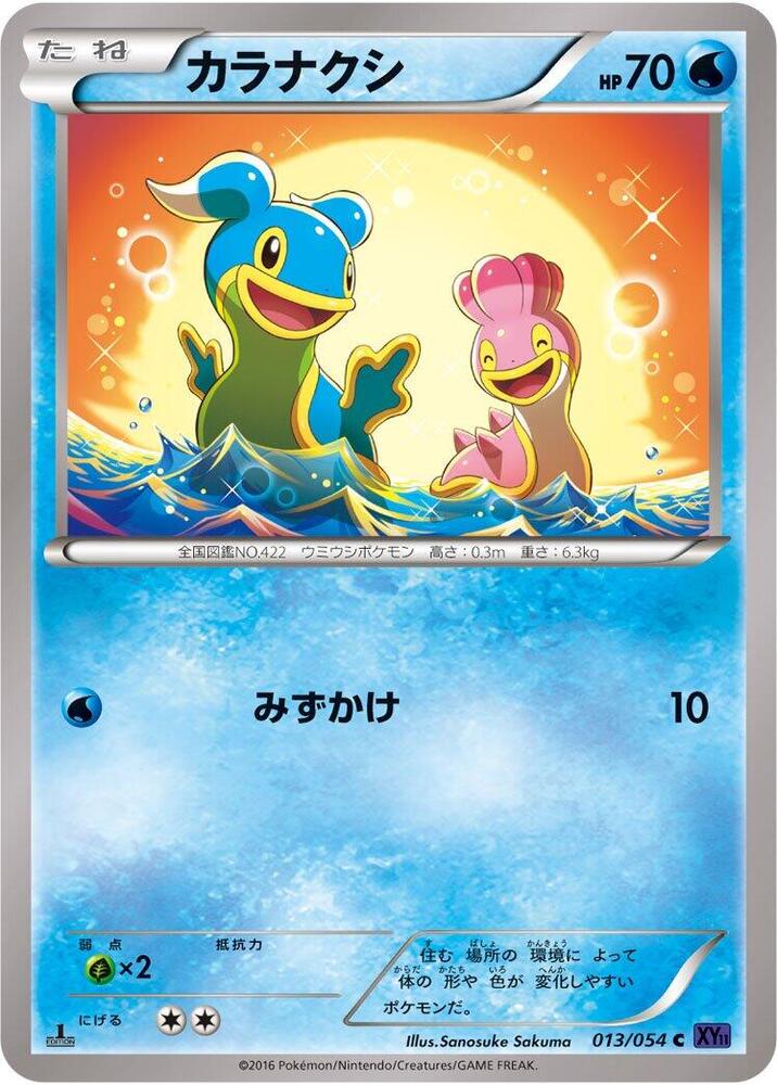 Shellos (013/054) [XY11-Bb: Fever-Burst Fighter]