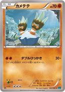 Binacle (043/080) [XY2: Wild Blaze]