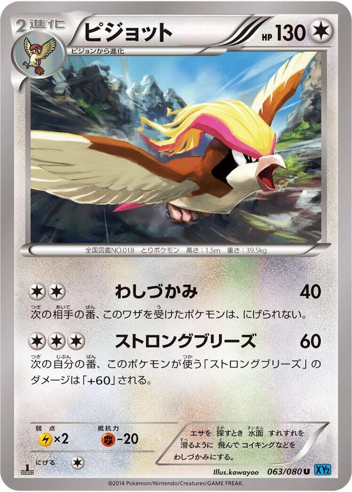 Pidgeot (063/080) [XY2: Wild Blaze]