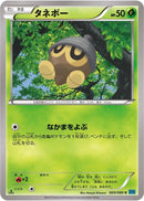 Seedot (005/080) [XY2: Wild Blaze]