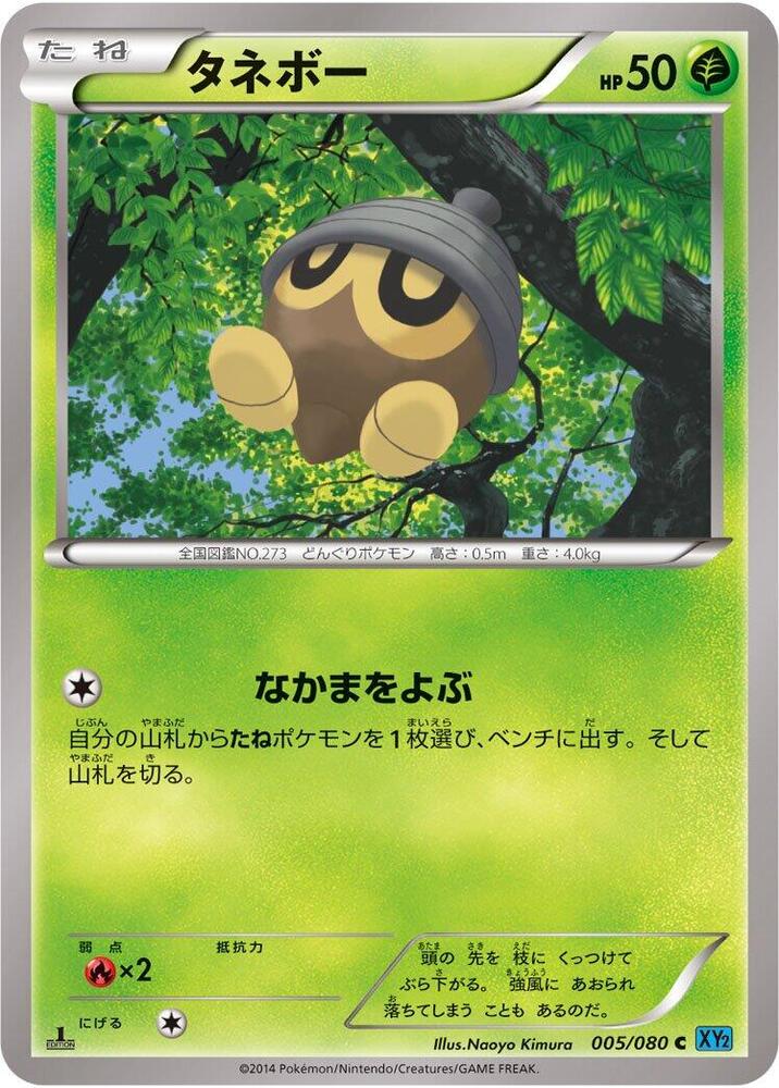 Seedot (005/080) [XY2: Wild Blaze]