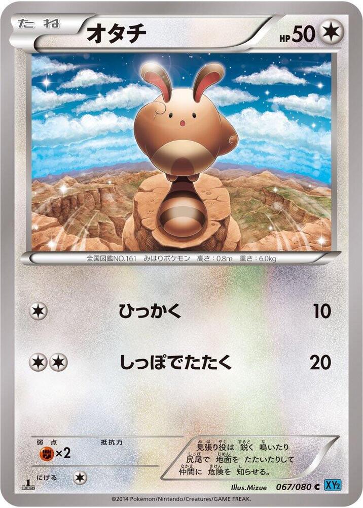 Sentret (067/080) [XY2: Wild Blaze]