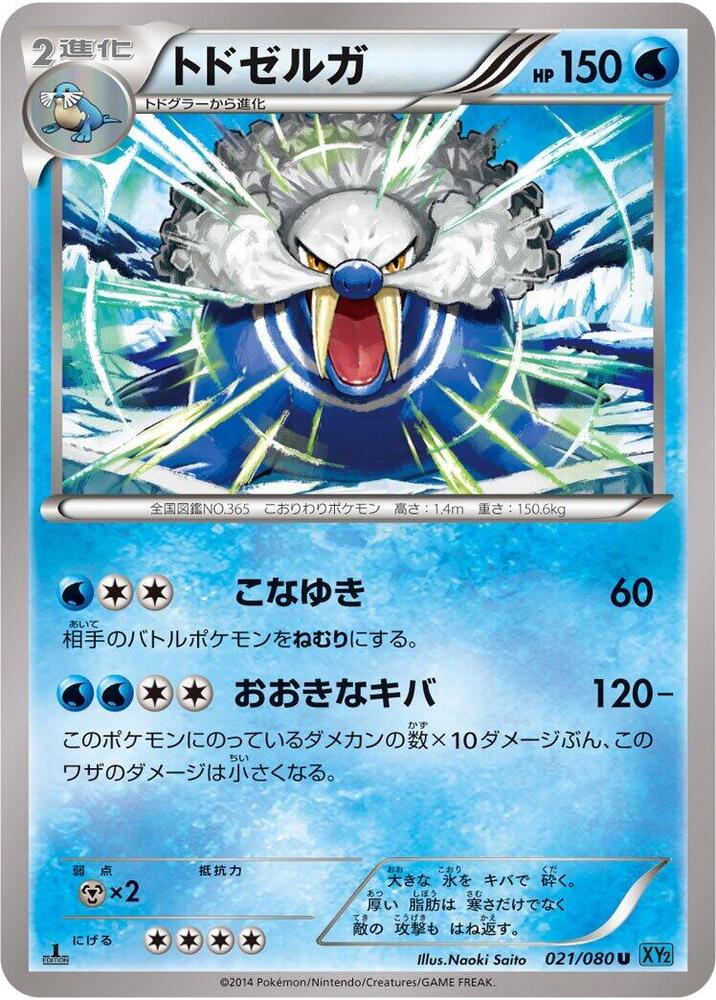 Walrein (021/080) [XY2: Wild Blaze]