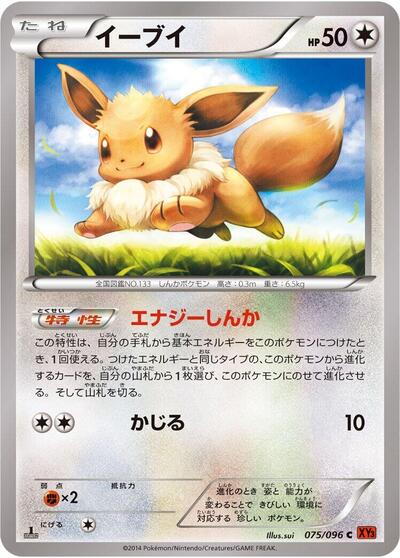 Eevee (075/096) [XY3: Rising Fist]
