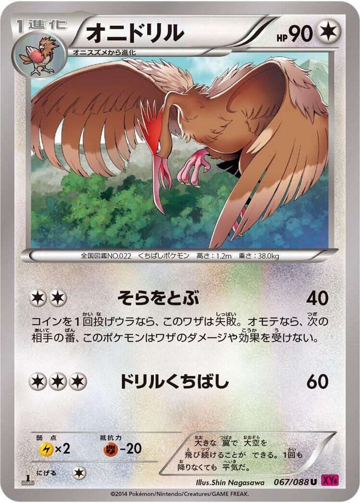 Fearow (067/088) [XY4: Phantom Gate]